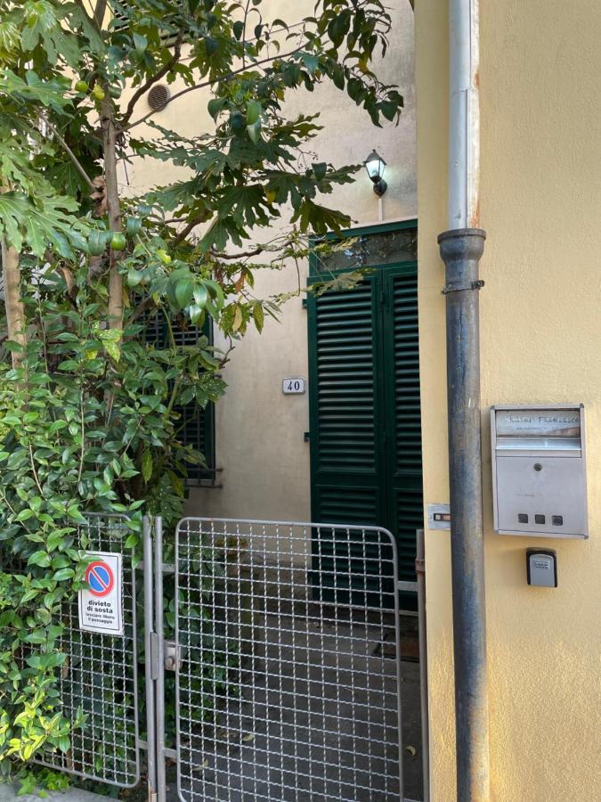 Giuseppe Giovannetti 40 Villa Lucca Exteriör bild